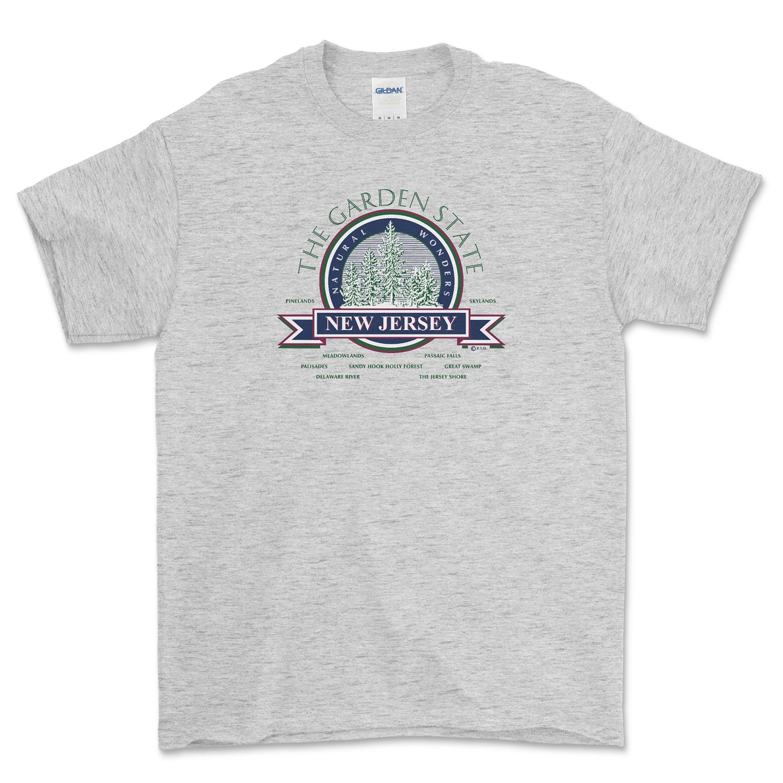 Gray t-shirt with New Jersey graphic design on a white background